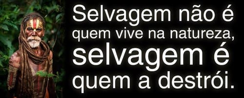 Selvagem