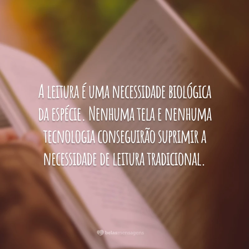 Frases Sobre Leitura Para Entrar Em Contato As Palavras