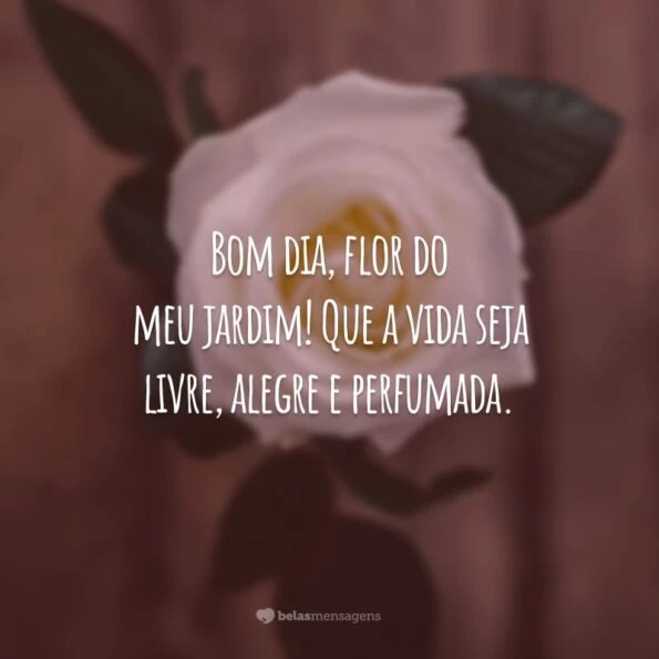 Frases De Bom Dia Flores Para Uma Manh Perfumada