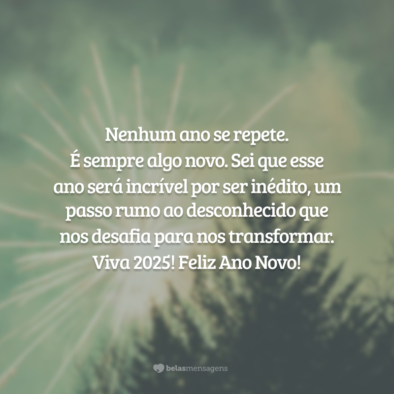 Nenhum ano se repete. É sempre algo novo. Sei que esse ano será incrível por ser inédito, um passo rumo ao desconhecido que nos desafia para nos transformar. Viva 2025! Feliz Ano Novo!