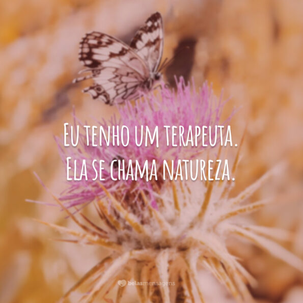 30 Frases De Natureza Para Refletir Sobre Sua Importância No Dia A Dia