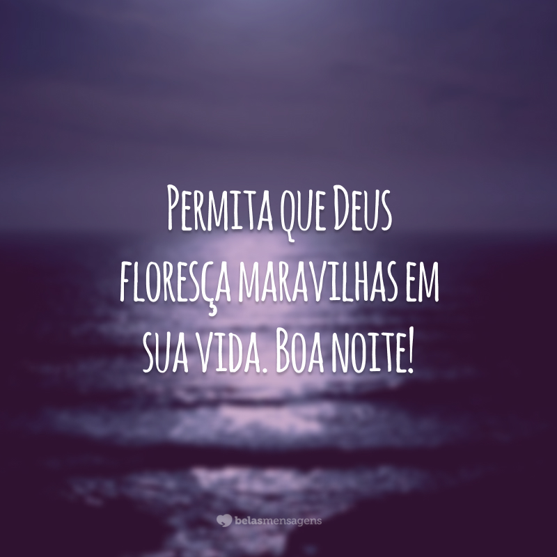 Permita que Deus floresça maravilhas em sua vida. Boa noite!