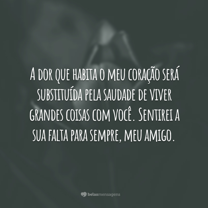 A dor que habita o meu coração será substituída pela saudade de viver grandes coisas com você. Sentirei a sua falta para sempre, meu amigo.