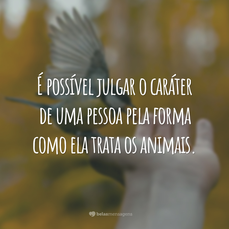 45 frases sobre animais para honrar esses seres da natureza