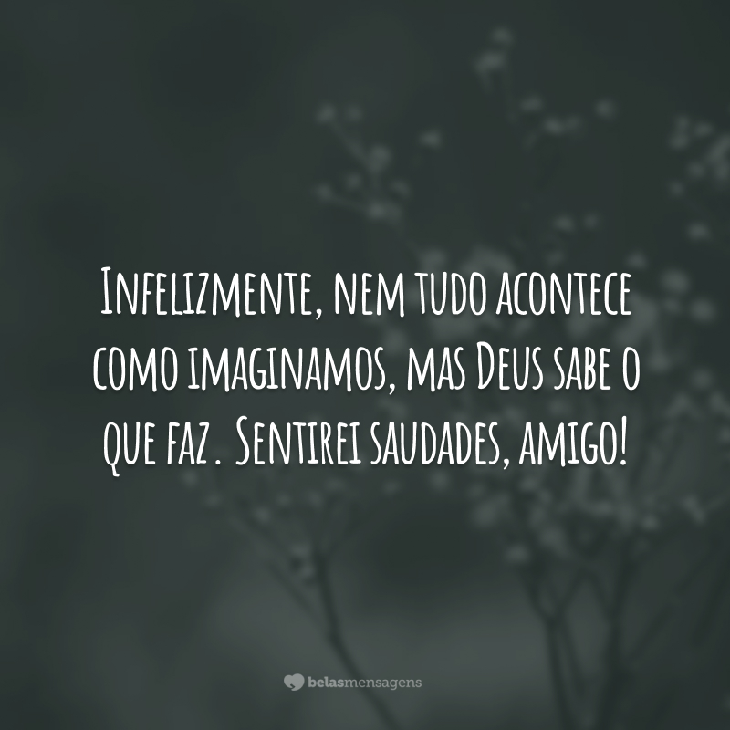 Infelizmente, nem tudo acontece como imaginamos, mas Deus sabe o que faz. Sentirei saudades, amigo!