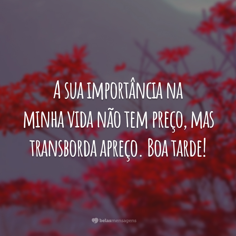 A sua importância na minha vida não tem preço, mas transborda apreço. Boa tarde!