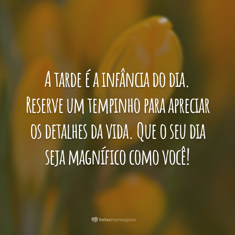 A tarde é a infância do dia. Reserve um tempinho para apreciar os detalhes da vida. Que o seu dia seja magnífico como você!