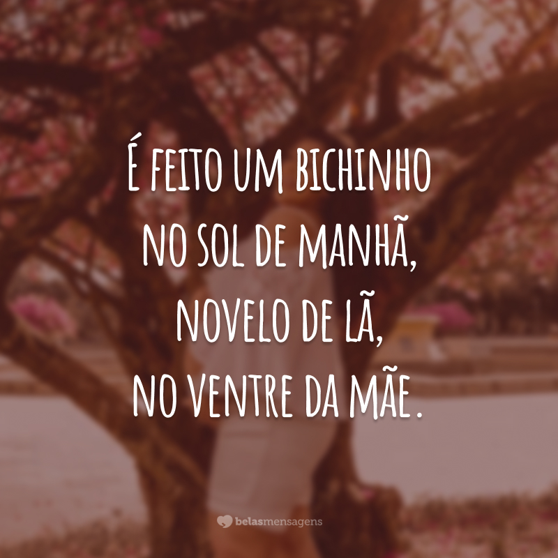 É feito um bichinho no sol de manhã, novelo de lã, no ventre da mãe.