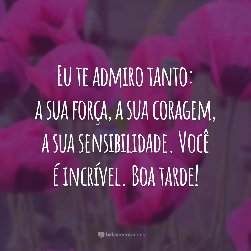 Eu te admiro tanto: a sua força, a sua coragem, a sua sensibilidade. Você é incrível. Boa tarde!