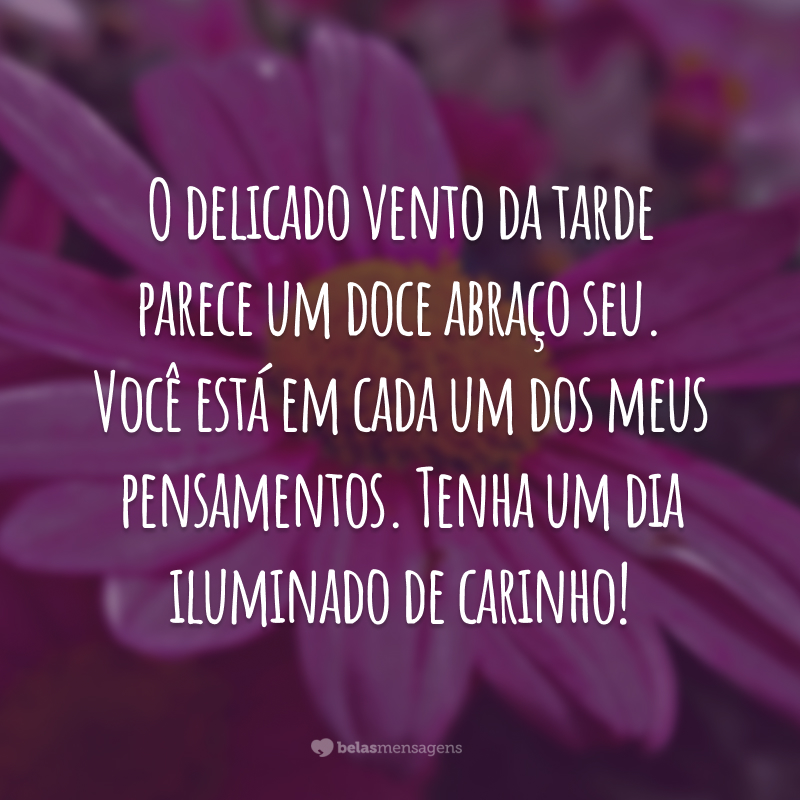 O delicado vento da tarde parece um doce abraço seu. Você está em cada um dos meus pensamentos. Tenha um dia iluminado de carinho!