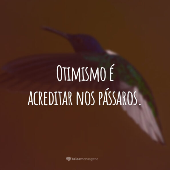 Frases De Otimismo Para Status Que V O Animar A Vida Das Pessoas