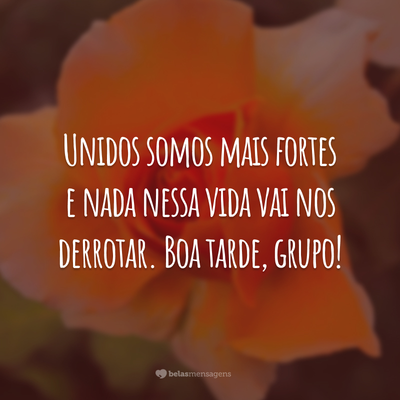 Unidos somos mais fortes e nada nessa vida vai nos derrotar. Boa tarde, grupo!