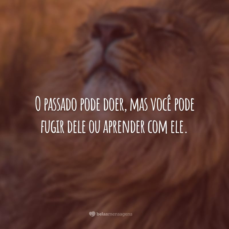 O passado pode doer, mas você pode fugir dele ou aprender com ele.