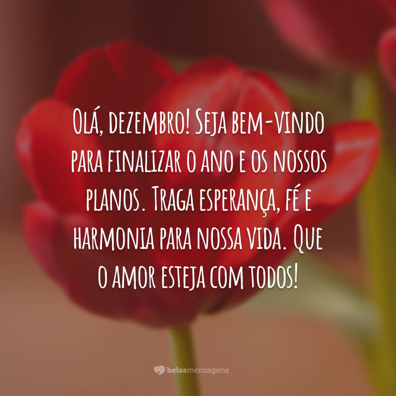 Olá, dezembro! Seja bem-vindo para finalizar o ano e os nossos planos. Traga esperança, fé e harmonia para nossa vida. Que o amor esteja com todos!