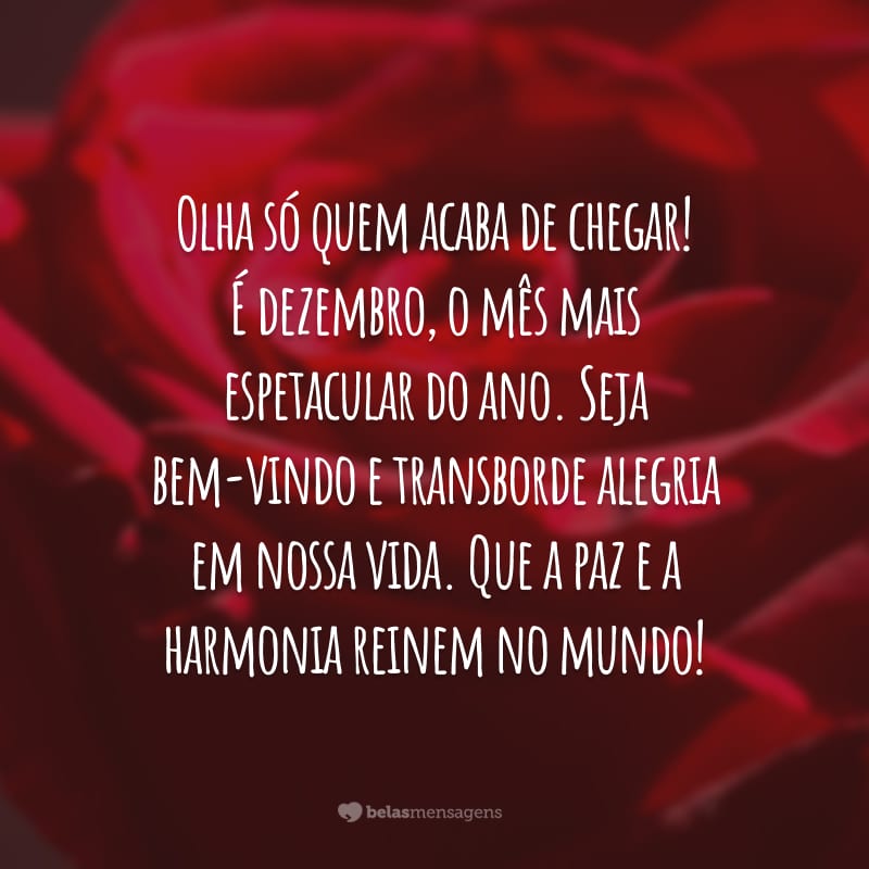 Olha só quem acaba de chegar! É dezembro, o mês mais espetacular do ano. Seja bem-vindo e transborde alegria em nossa vida. Que a paz e a harmonia reinem no mundo!