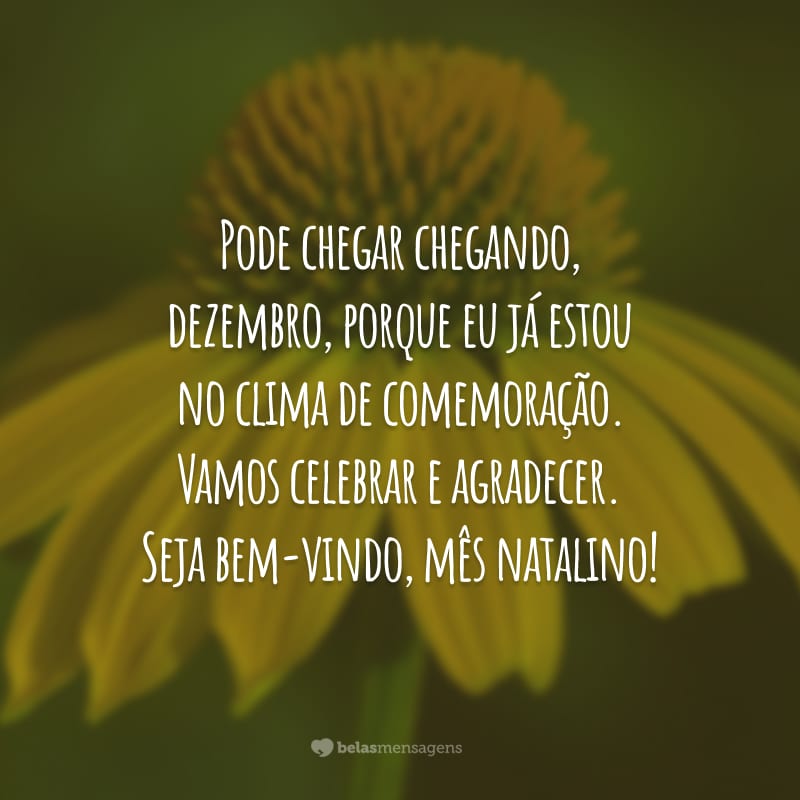 Pode chegar chegando, dezembro, porque eu já estou no clima de comemoração. Vamos celebrar e agradecer. Seja bem-vindo, mês natalino!