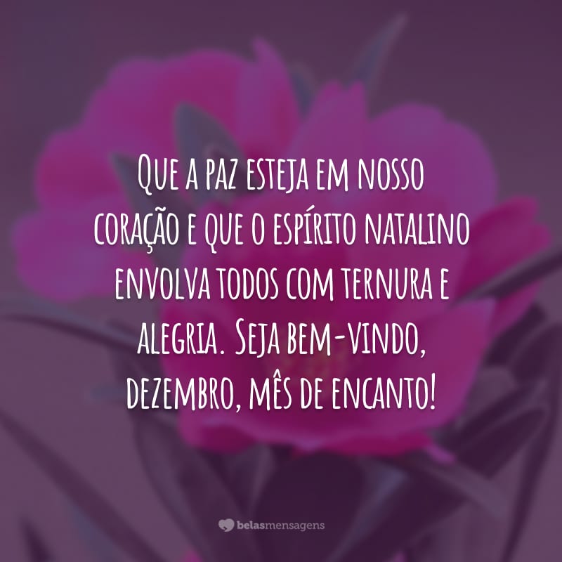 Que a paz esteja em nosso coração e que o espírito natalino envolva todos com ternura e alegria. Seja bem-vindo, dezembro, mês de encanto!