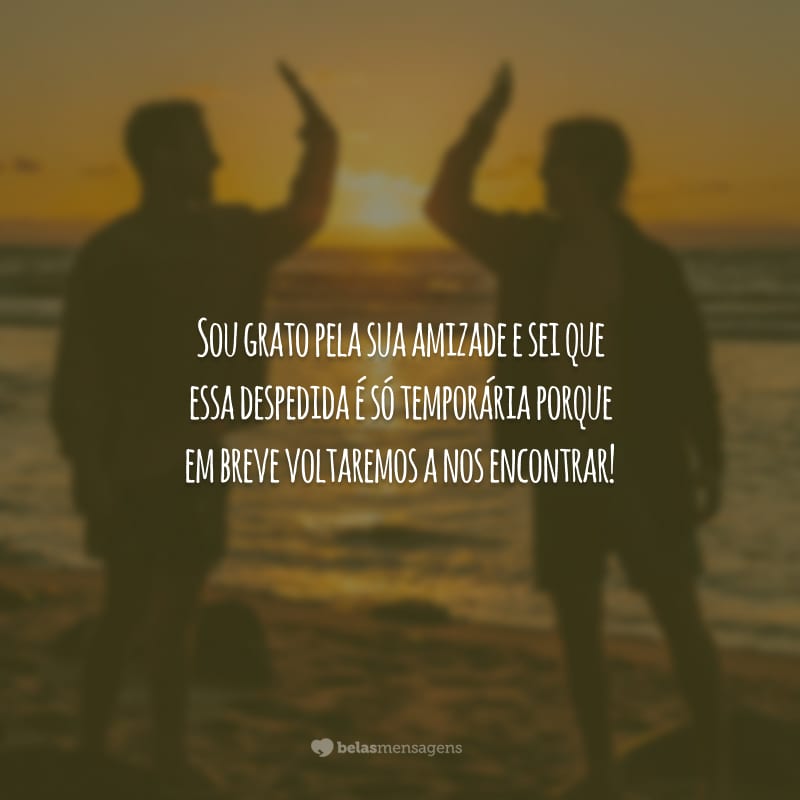 Sou grato pela sua amizade e sei que essa despedida é só temporária porque em breve voltaremos a nos encontrar!