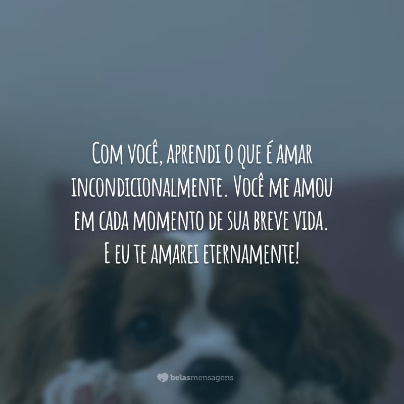 Com você, aprendi o que é amar incondicionalmente. Você me amou em cada momento de sua breve vida. E eu te amarei eternamente!