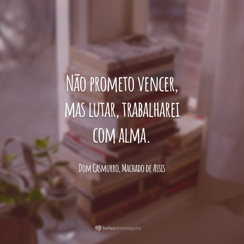 Não prometo vencer, mas lutar, trabalharei com alma.