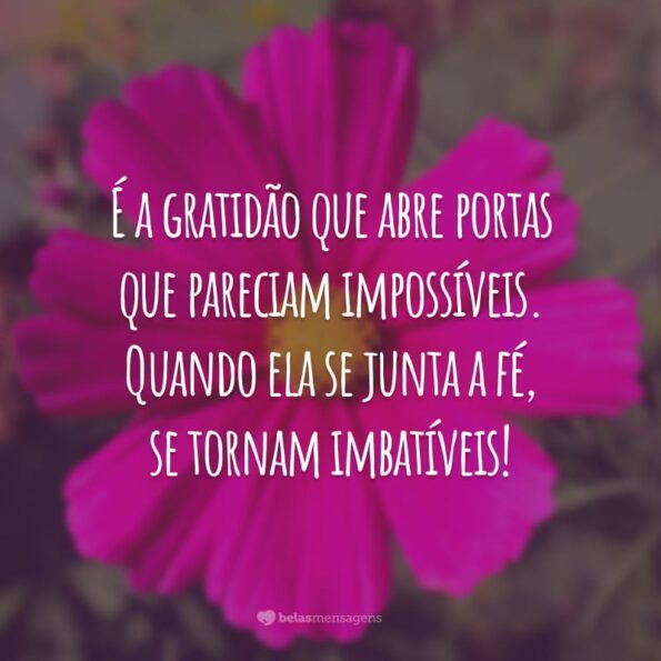 45 Frases De Reflexão Sobre Gratidão Para Ser Mais Grato Pelo Que Tem