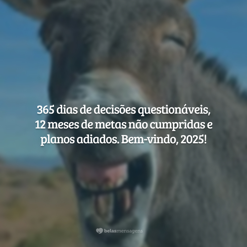 365 dias de decisões questionáveis, 12 meses de metas não cumpridas e planos adiados. Bem-vindo, 2025!