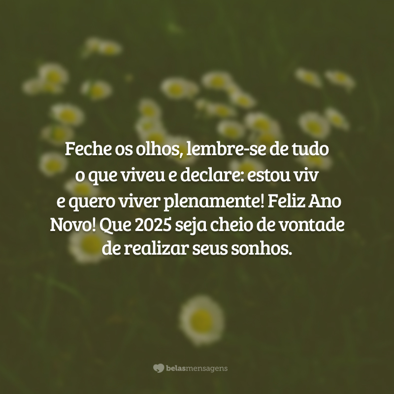 Feche os olhos, lembre-se de tudo o que viveu e declare: estou vivo e quero viver plenamente! Feliz Ano Novo! Que 2025 seja cheio de vontade de realizar seus sonhos.