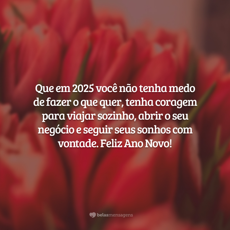 Que em 2025 você não tenha medo de fazer o que quer, tenha coragem para viajar sozinho, abrir o seu negócio e seguir seus sonhos com vontade. Feliz Ano Novo!