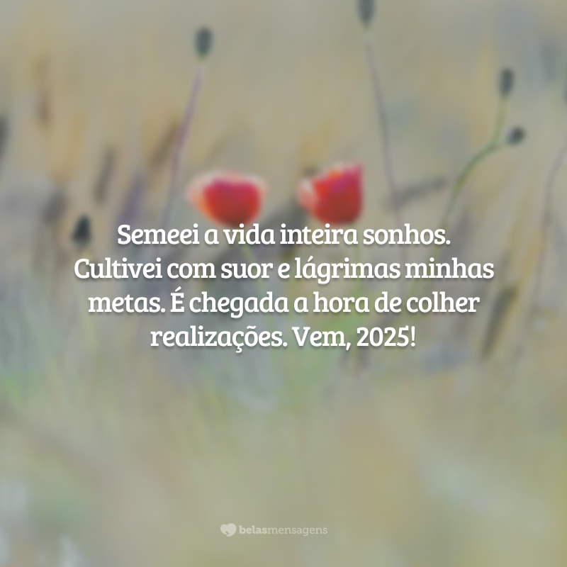 Semeei a vida inteira sonhos. Cultivei com suor e lágrimas minhas metas. É chegada a hora de colher realizações. Vem, 2025!